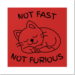 Not Fast, Not Furious Posters and Art